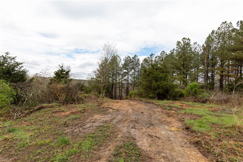 Woodland Heights Tract 22