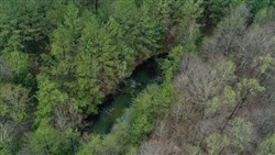 Woodland Heights Tract 22