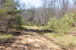 property photo for Woodland Heights Tract 5, 6.03 acres for sale in Wayne County, Kentucky
