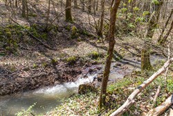 property photo for Woodland Heights Tract 5, 6.03 acres for sale in Wayne County, Kentucky