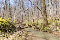 property photo for Woodland Heights Tract 5, 6.03 acres for sale in Wayne County, Kentucky