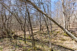 property photo for Woodland Heights Tract 5, 6.03 acres for sale in Wayne County, Kentucky