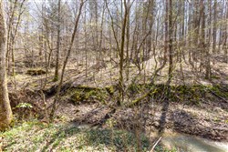 property photo for Woodland Heights Tract 5, 6.03 acres for sale in Wayne County, Kentucky