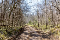 property photo for Woodland Heights Tract 5, 6.03 acres for sale in Wayne County, Kentucky