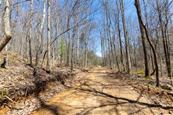 property photo for Woodland Heights Tract 9, 15.03 acres for sale in Wayne County, Kentucky