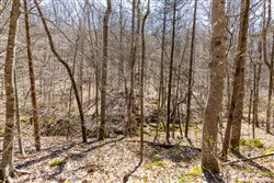 property photo for Woodland Heights Tract 9, 15.03 acres for sale in Wayne County, Kentucky