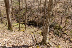 property photo for Woodland Heights Tract 9, 15.03 acres for sale in Wayne County, Kentucky