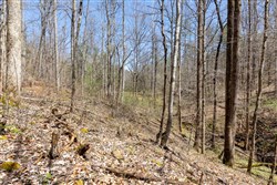 property photo for Woodland Heights Tract 9, 15.03 acres for sale in Wayne County, Kentucky