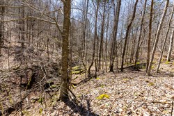 property photo for Woodland Heights Tract 9, 15.03 acres for sale in Wayne County, Kentucky