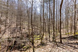 property photo for Woodland Heights Tract 9, 15.03 acres for sale in Wayne County, Kentucky