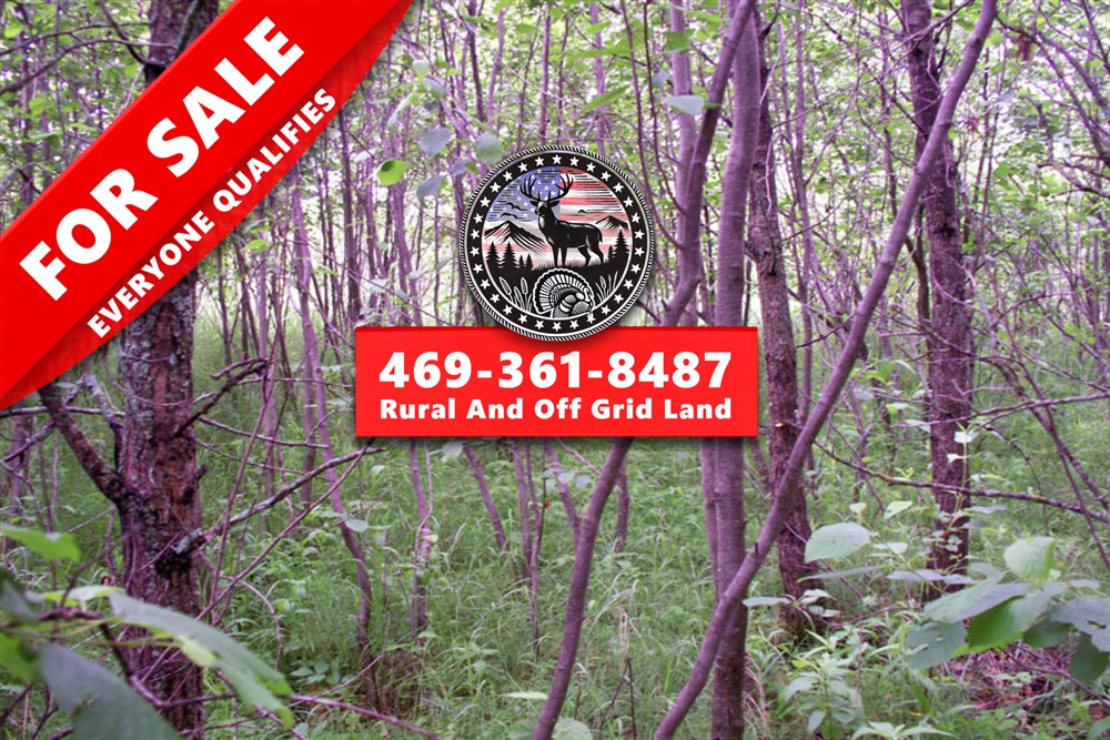 20 acre rural land tract for sale at Pine Island Ranch Tract 3 in Koochiching County, Minnesota