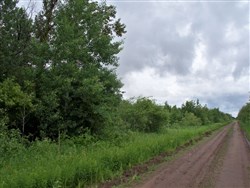 property photo for Pine Island Ranch Tract 4, 20 acres for sale in Koochiching County, Minnesota