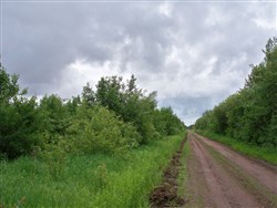 property photo for Pine Island Ranch Tract 6, 40 acres for sale in Koochiching County, Minnesota