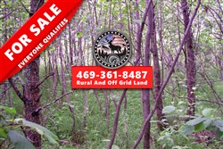 property photo for Pine Island Ranch Tract 6, 40 acres for sale in Koochiching County, Minnesota