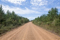 Brentwood Tract 1