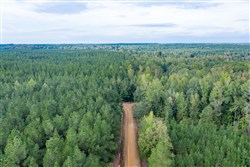 Brentwood Tract 10