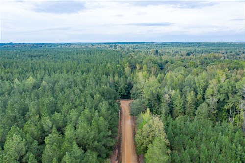 Brentwood Tract 10