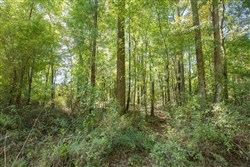 Brentwood Tract 10