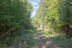 Brentwood Tract 10