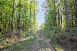 Brentwood Tract 11