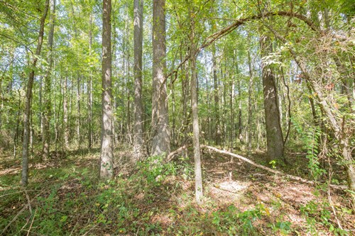 Brentwood Tract 11