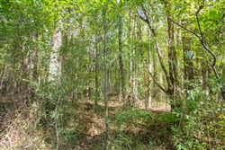 Brentwood Tract 11