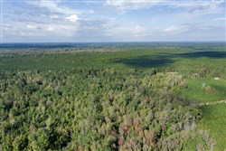 Brentwood Tract 11