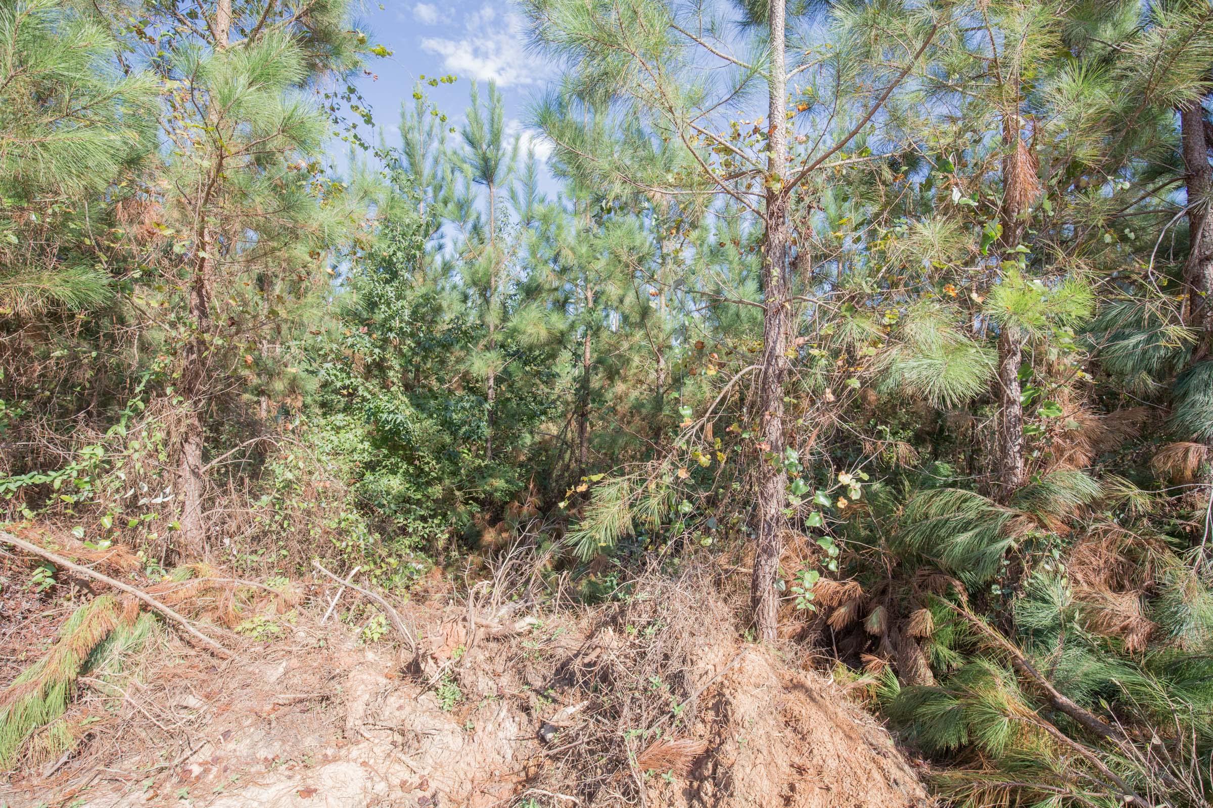 Tract 14 at Brentwood in Attala County, Mississippi