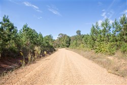 property photo for Brentwood Tract 5, 2.5 acres for sale in Attala County, Mississippi