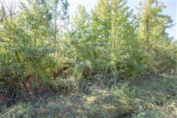 property photo for Brentwood Tract 5, 2.5 acres for sale in Attala County, Mississippi