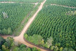 property photo for Brentwood Tract 5, 2.5 acres for sale in Attala County, Mississippi