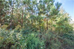 property photo for Brentwood Tract 5, 2.5 acres for sale in Attala County, Mississippi