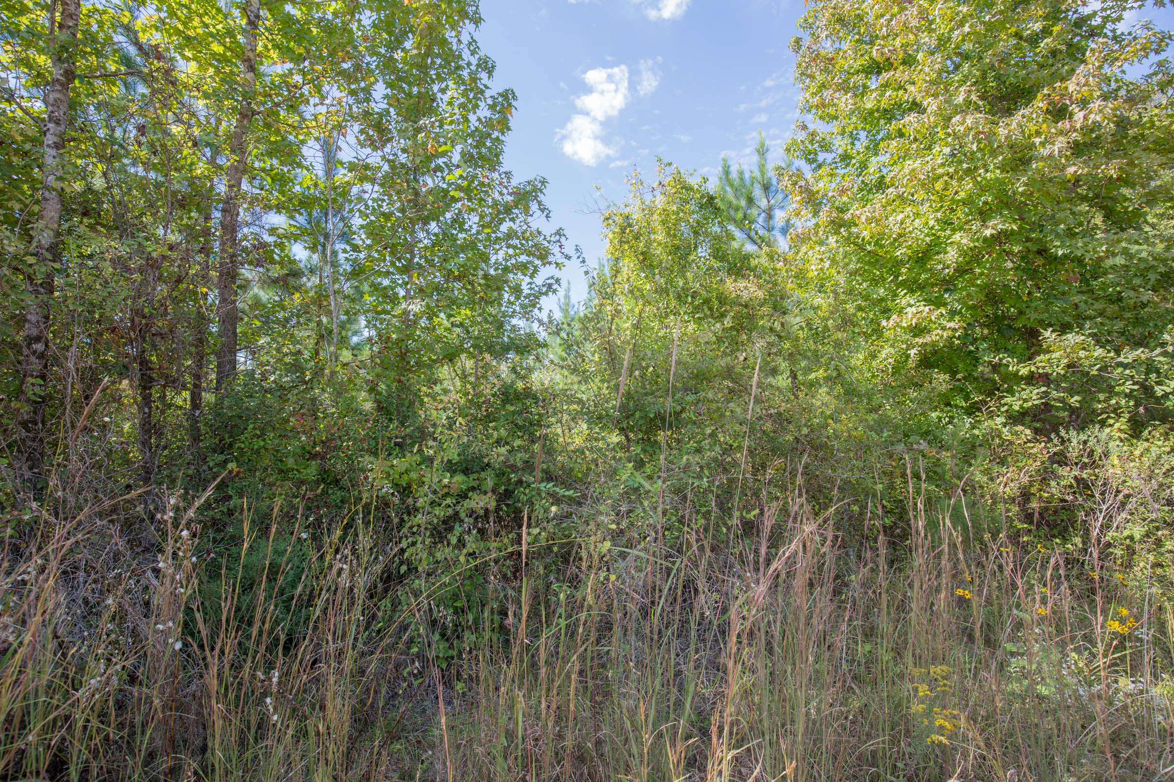 Tract 9 at Brentwood in Attala County, Mississippi