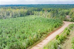 property photo for Sky Ranch Tract 1, 2.87 acres for sale in Attala County, Mississippi