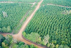 property photo for Sky Ranch Tract 1, 2.87 acres for sale in Attala County, Mississippi