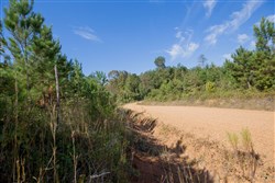 property photo for Sky Ranch Tract 1, 2.87 acres for sale in Attala County, Mississippi