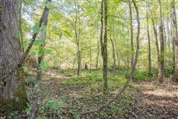 Sky Ranch Tract 10