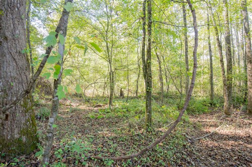 Sky Ranch Tract 10