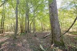 Sky Ranch Tract 10