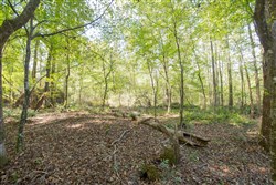 Sky Ranch Tract 10