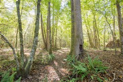 Sky Ranch Tract 10