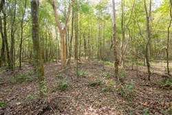 Sky Ranch Tract 10
