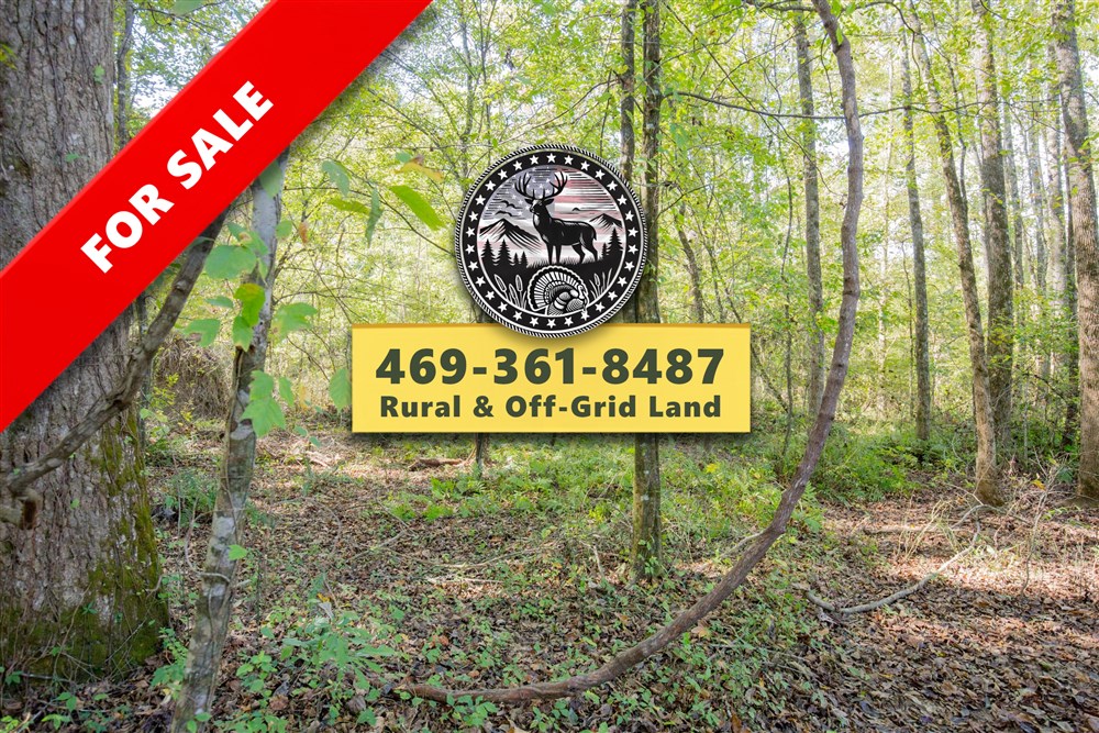 Sky Ranch Tract 10 - Primary