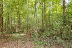 Sky Ranch Tract 13