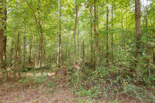 Sky Ranch Tract 13