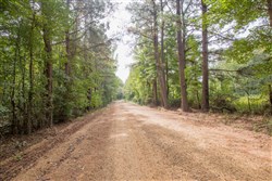 Sky Ranch Tract 13