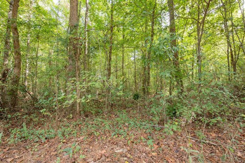 Sky Ranch Tract 13