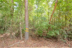 Sky Ranch Tract 13