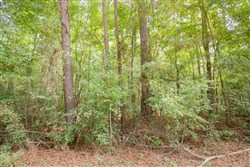 Sky Ranch Tract 13