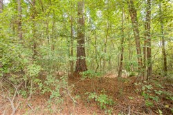 Sky Ranch Tract 13